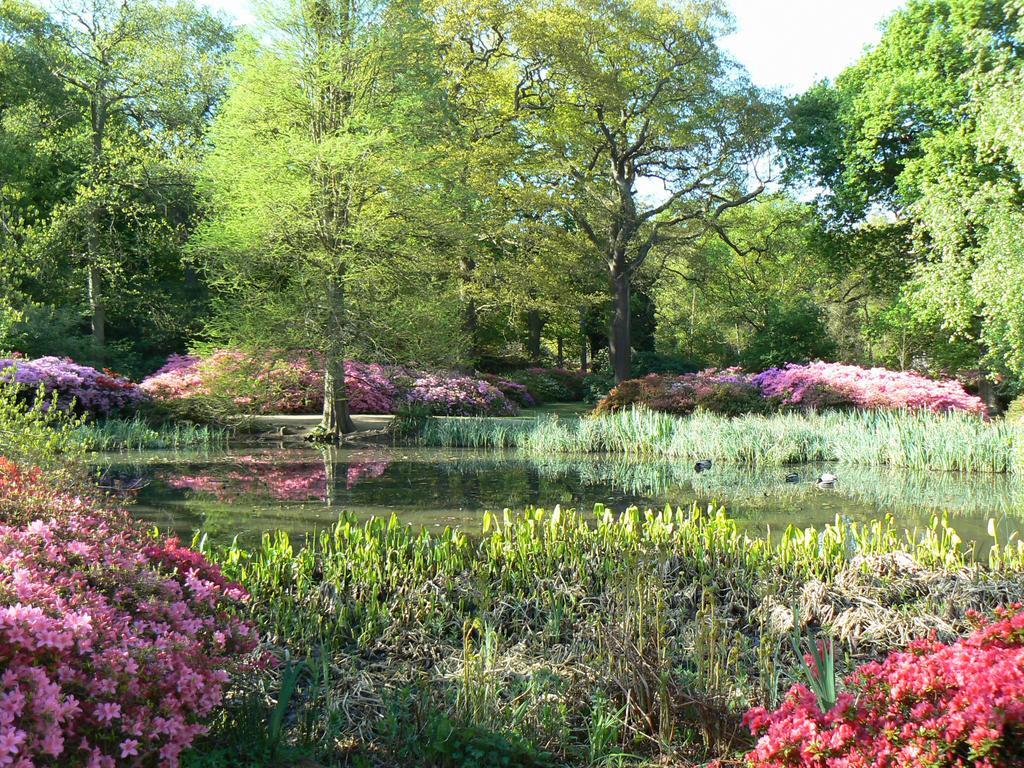 Londonhomegardens ภายนอก รูปภาพ